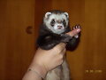 Ole que pose