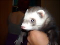 Mi hur&oacute;n Chico