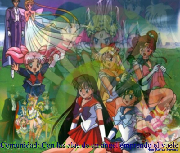 Team sailor moon