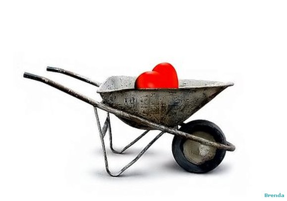CAMINO AL AMOR