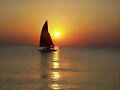 MI RIO LLEGA A TU MAR