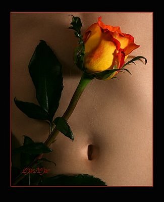 POR UN MOMENTO...