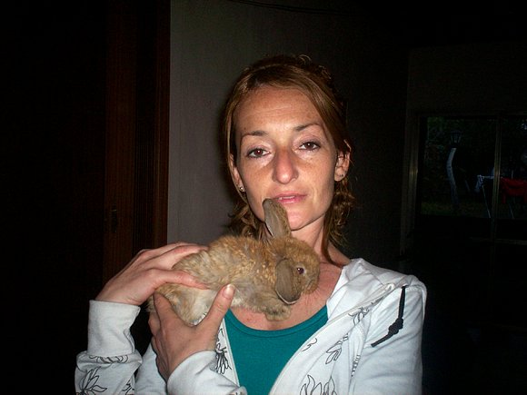 mi conejito enano ...Pachy...un pompon de ternura,