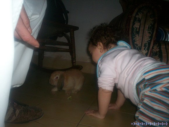 pobre Pachy..