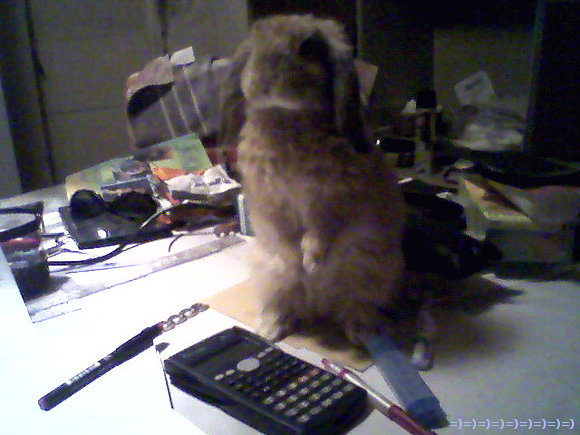 Pachy me ayuda con la matematica:::jejeje