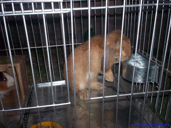 la pequeña Pachy tomando aguita