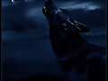 WOLF2