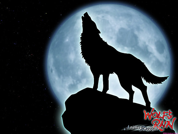 wolf 3
