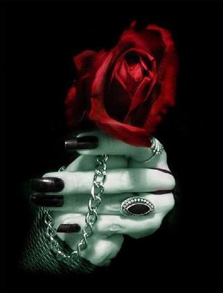 La Rosa