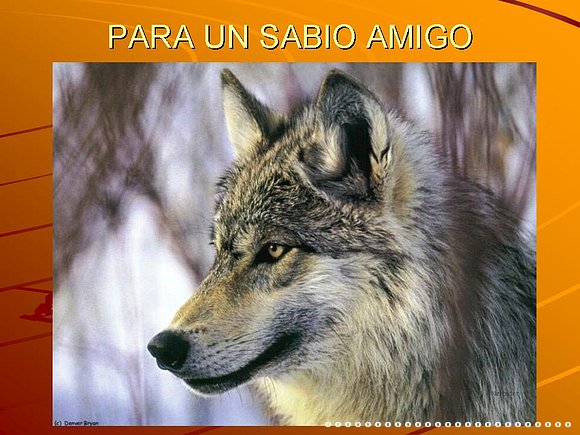 DESDE  AQUI....