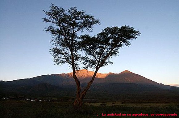 LOS TRES ÁRBOLES