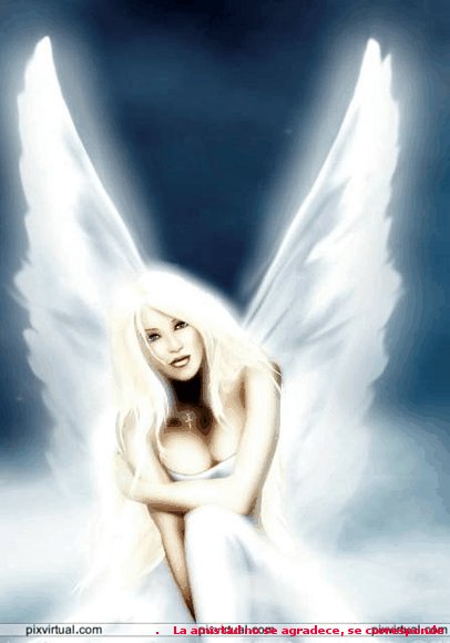 La aventura del ángel