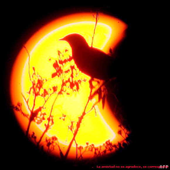 [CUENTO] El Sol Y La Luna.