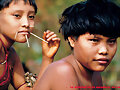Indios de la Amazonia