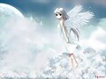 White Clarity ll Rino &hearts;
