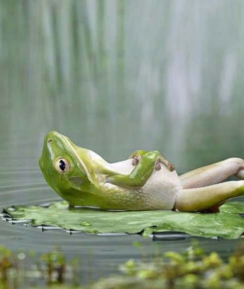 en su descanso
