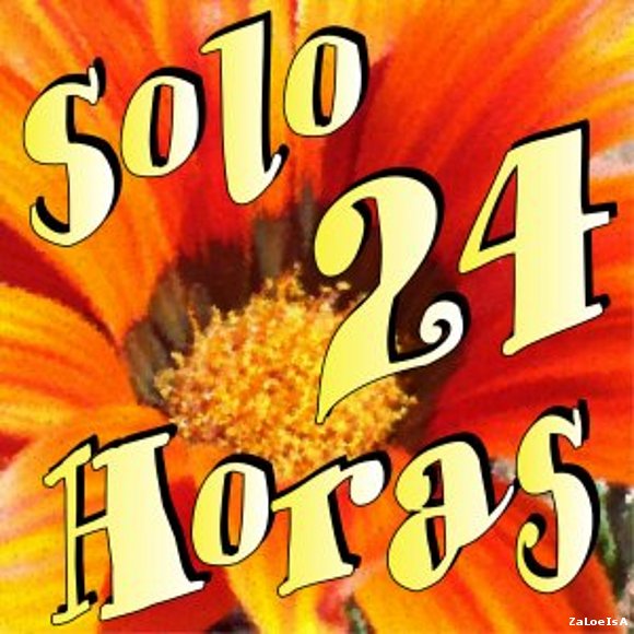 24 horas al dia no me llegan