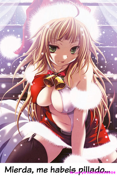 MeNoS dIas PaRa NaViDAD!!!