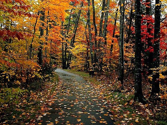 MARAVILLOSO OTOÑO.... MAGICOOOOOOOOOO