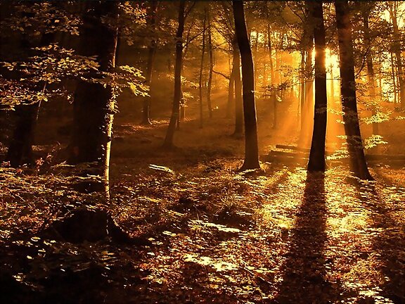 Otoño, mi estaciön favorita.... llega el 23 de Sep