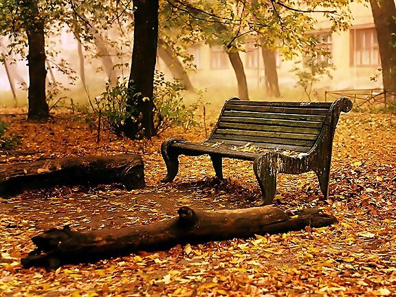 MARAVILLOSO OTOÑO....CONQUISTAS MI CORAZON