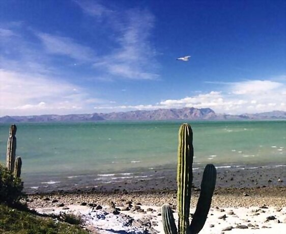 Desierto y Mar de SONORA (Mexico).