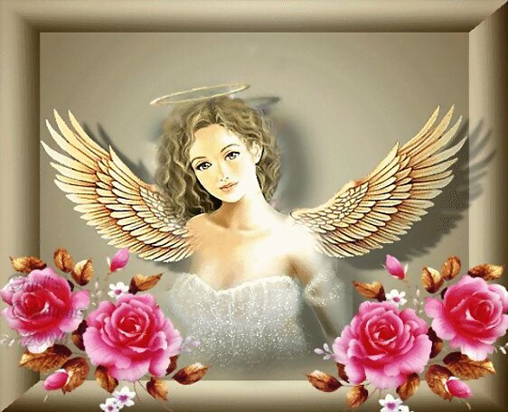 somos angeles
