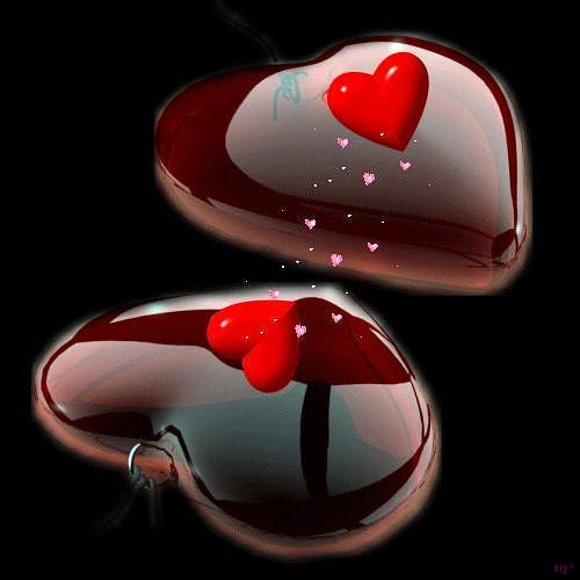 ...* que es el amorr*...