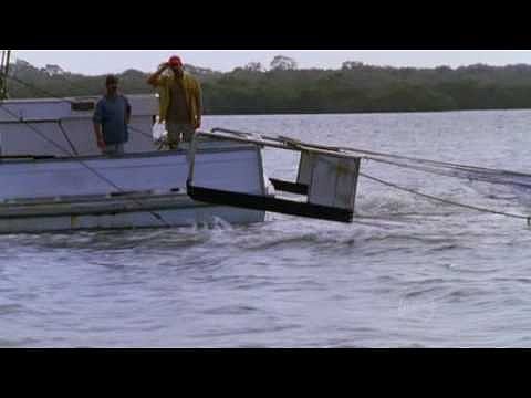H2o Just Add Water Catch Of The Day Part 3