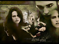 Collage!!