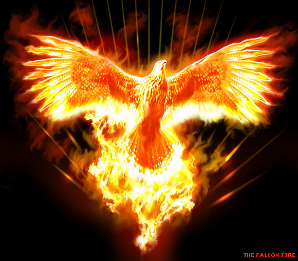 THE FALCON FIRE