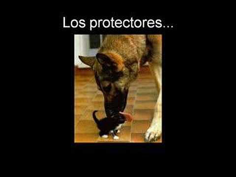 para todos mis AMIG@S