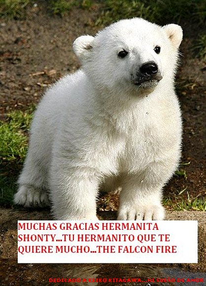 PARA MI HERMANITA MAYOR...OSITA POLAR