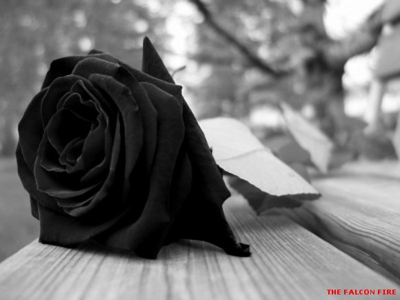 MIS CONDOLENCIAS PARA TI NATY...LO LAMENTO