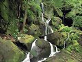 EL JARDIN DE LAS HADAS