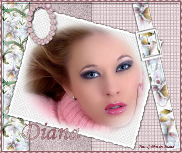 Creaciones de Diosa del mar
