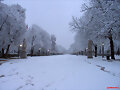 retiro