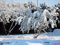 otra nieve