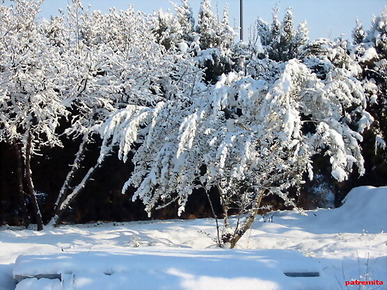 otra nieve