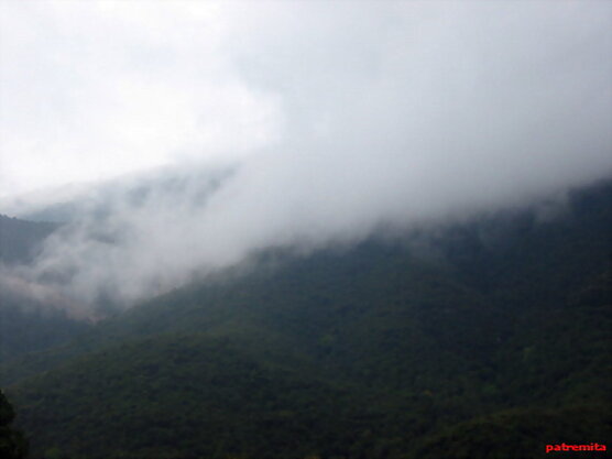 niebla en las montañas