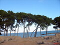 casa grecoromana