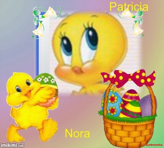 regalo de nora