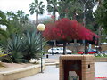 parque murciano