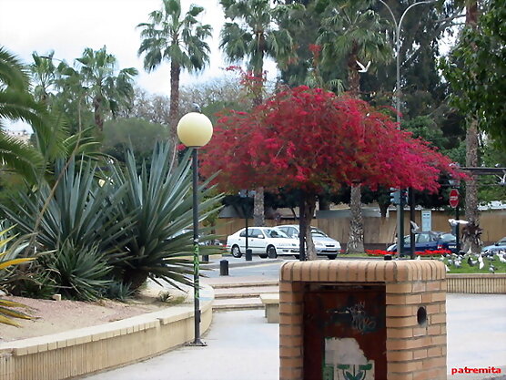 parque murciano