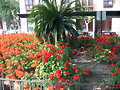 parque murciano 2