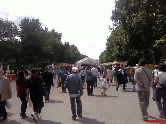 feria del libro de madrid