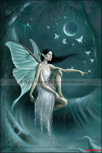 noche