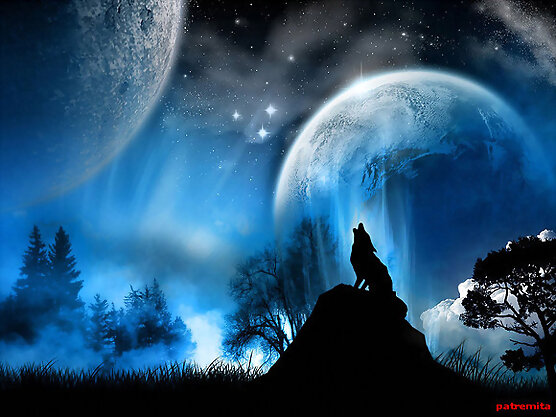 lobo aullando