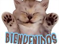 bienvenidos amigos