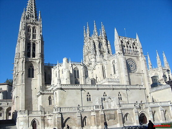 ¿que catedral es?